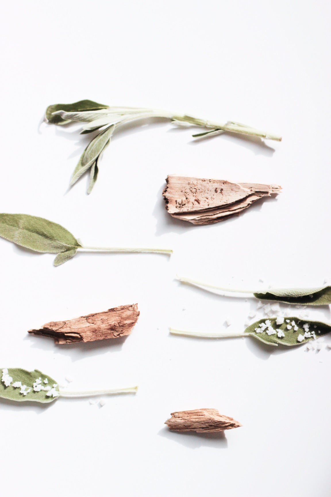 Salted Wood Sage