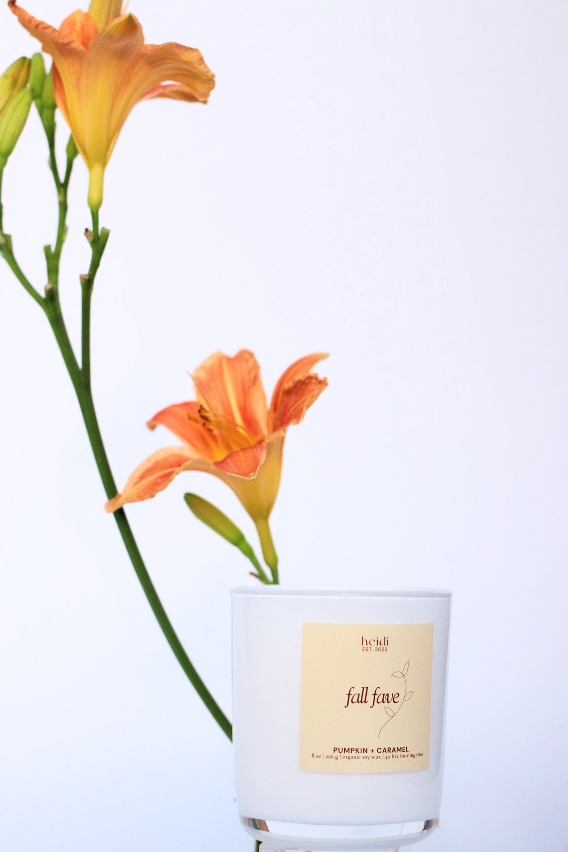 Fall Fave